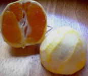 orangepeeled.jpg (7690 bytes)